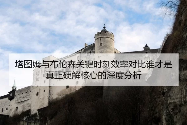 塔图姆与布伦森关键时刻效率对比谁才是真正硬解核心的深度分析
