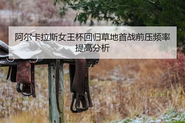 a-er-ka-la-si-nv-wang-bei-hui-gui-cao-di-shou-zhan-qian-ya-pin-lv-ti-gao-fen-xi-2-201.jpg