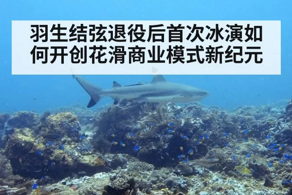 羽生结弦退役后首次冰演如何开创花滑商业模式新纪元
